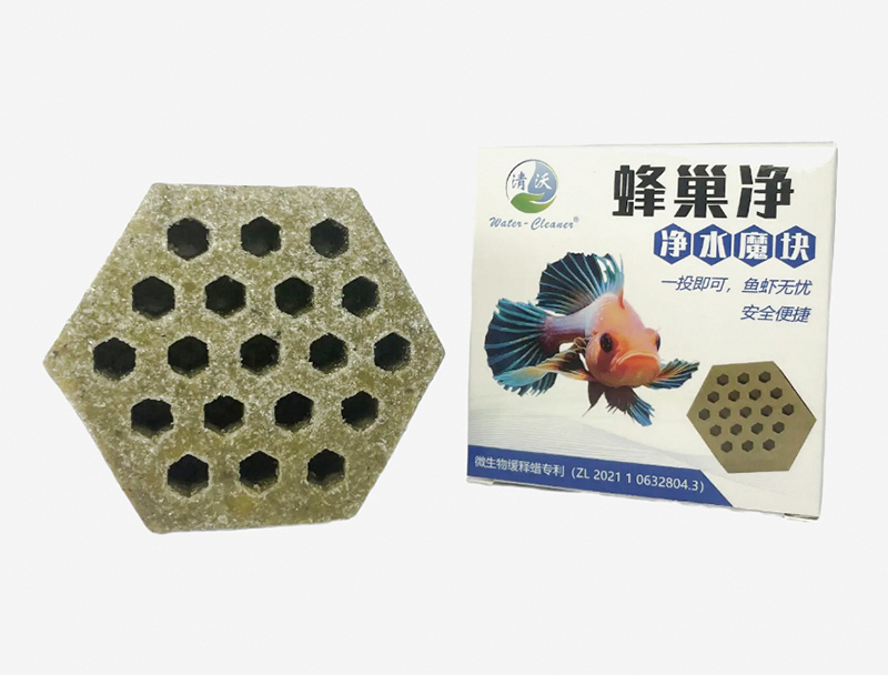 清远菌方